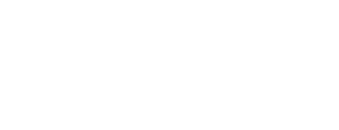 The Tae Foundation logo